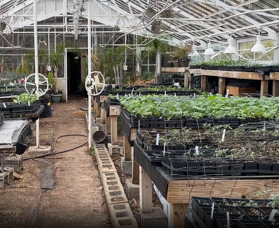 Franciscan Monastery Garden Guild