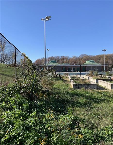 Rebuilding Together DC Alexandria