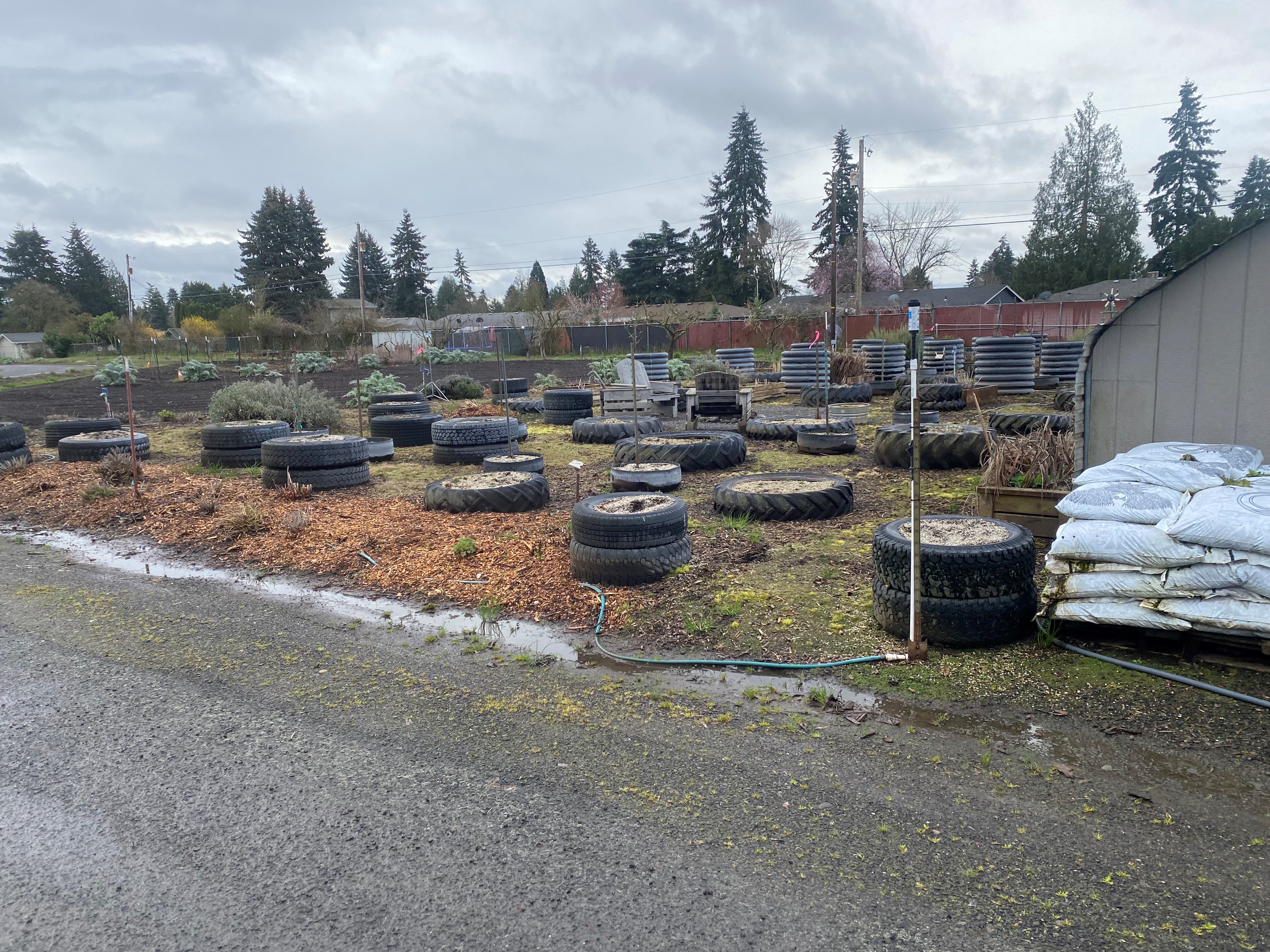 Clark County District Court Veterans Garden